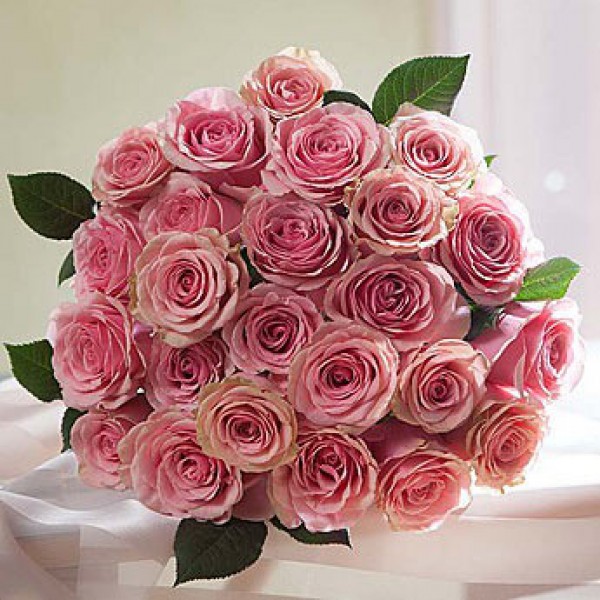 20 Pink Roses  bunches